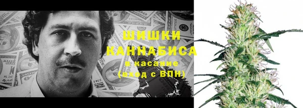 мдма Новодвинск