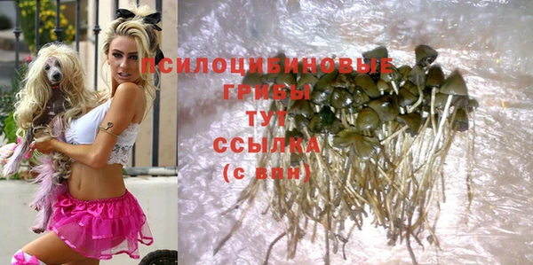 прущая мука Новозыбков