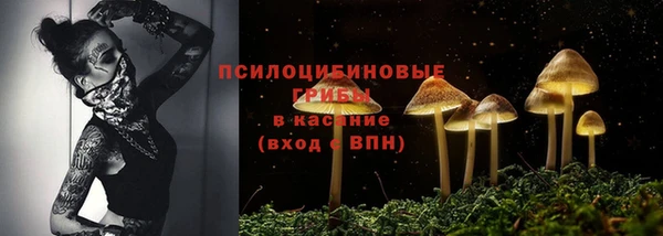 мдма Новодвинск