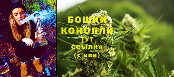 мдма Новодвинск