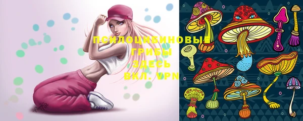 мдма Новодвинск