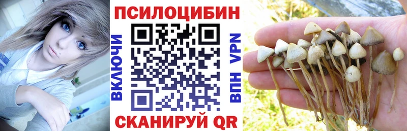 Галлюциногенные грибы Cubensis Балтийск