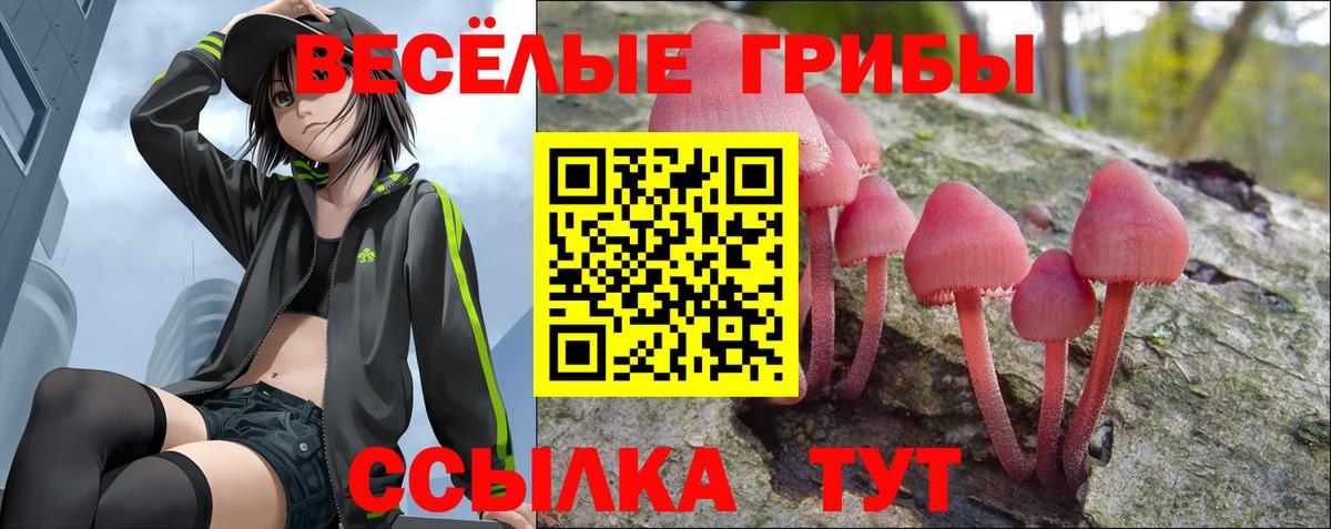 Галлюциногенные грибы GOLDEN TEACHER  Вход с VPN  Балтийск 
